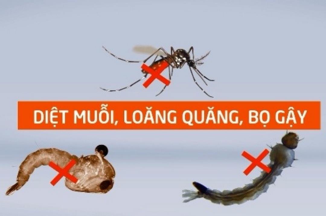 Có nhiều biện pháp áp dụng để tiêu diệt muỗi và ấu trùng bọ gậy