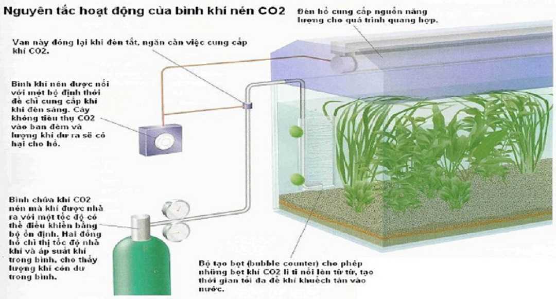 Hệ thống lọc và khí Co2